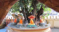 Lao: The beauty of the landscape is breathtaking! And the […]