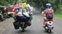 There is a ferry port in Banyuwangi on Java where […]
