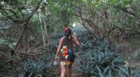 In our Planting Around the World Mission our challenge is […]