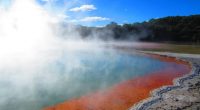 We buzz straight up from Wellington to the lake Taupo […]