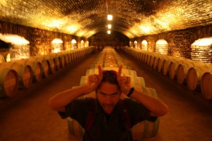 conchaytoro_wine_tour_santiago