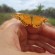 BR319 Day 1 – Reality Check! – Amazonas, Brazil