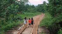 TRIP INFO BOX Route Mazuco, Peru – Puerto Maldonado, Peru […]