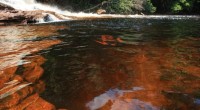 Amazonas BR319 Humaita-Manaus road Day 1 Amazonas BR319 Humaita-Manaus road […]
