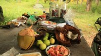 TRIP INFO BOX Route Playa Pui Pui – Golfo de […]
