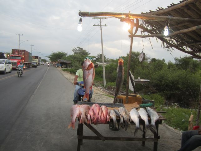 barranquilla-to-taganga-fish-seller.JPG
