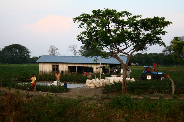 cartagena-mompox-farmers.JPG