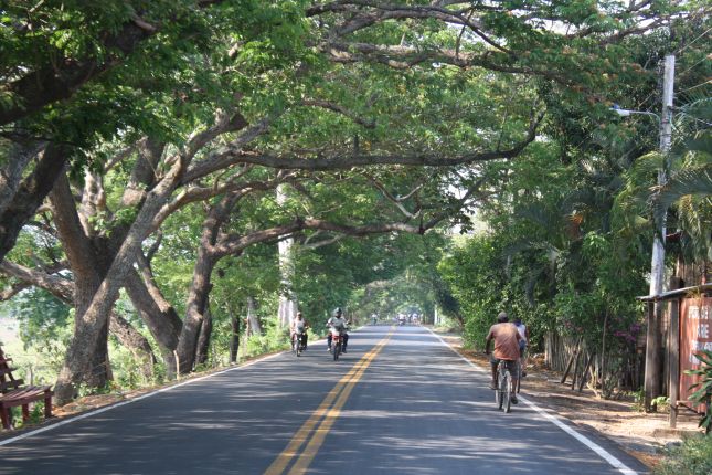 cartagena-mompox-lush-village.JPG