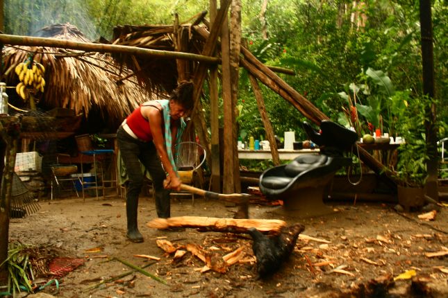 chez-gloria-gloria-wood-chopping.JPG