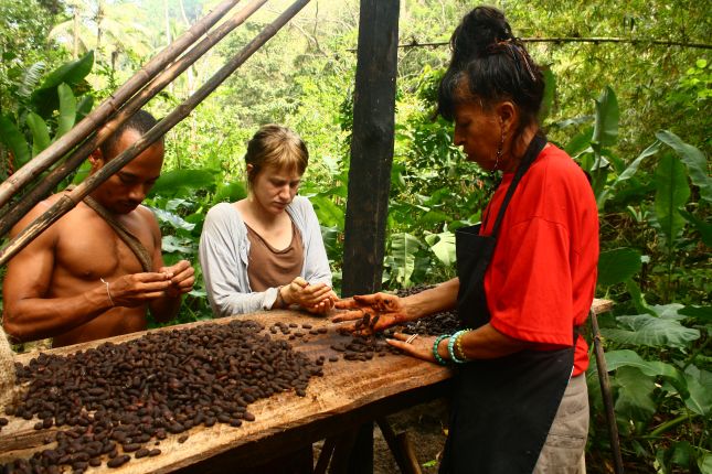 drying-cacao.JPG