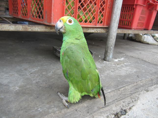 sangil-puerto-berrio-lunch-stop.JPG