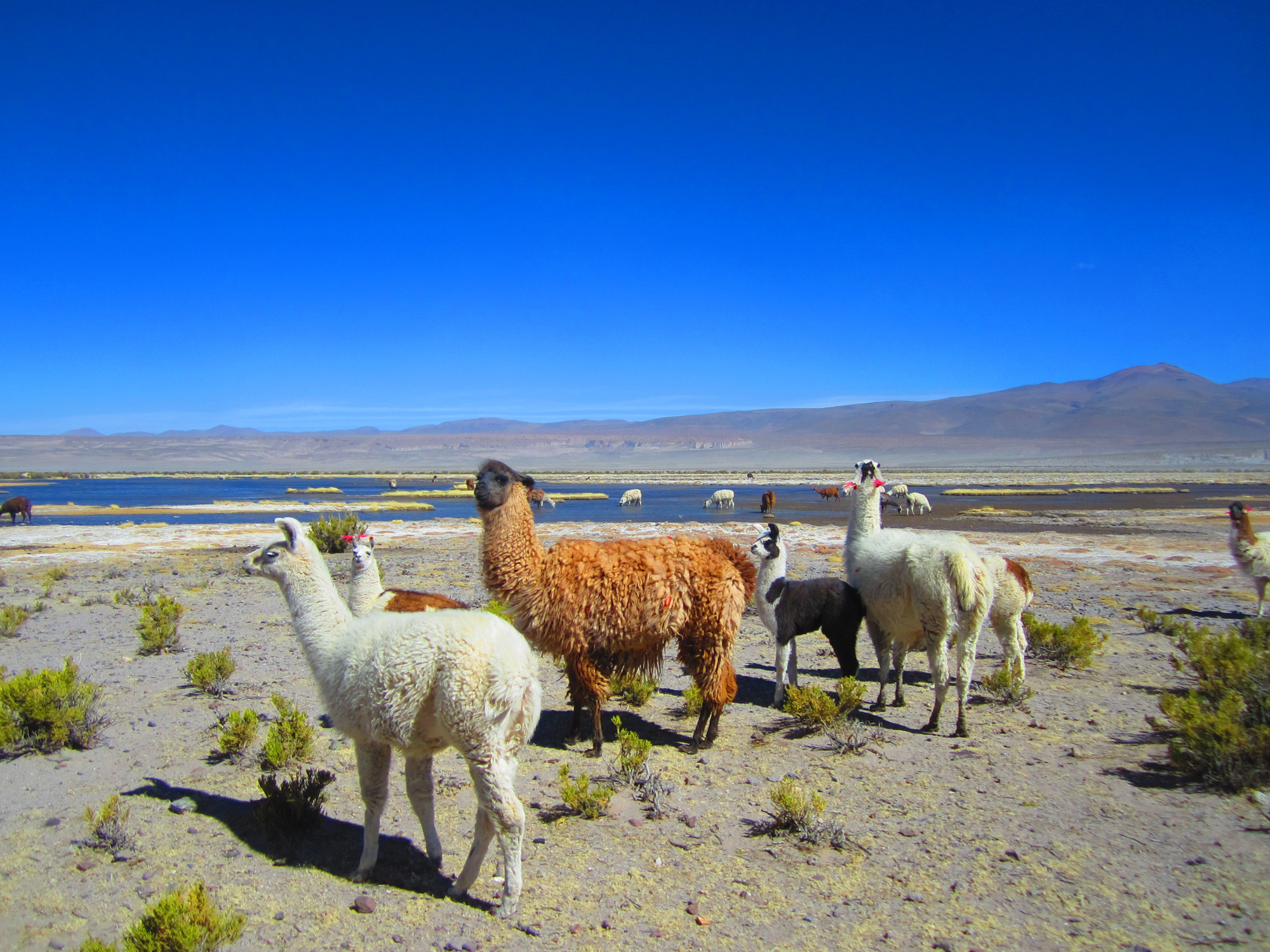 border_crossing_chile_to_bolivia